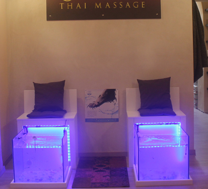 Orchidea Thai Massage · Foto 10